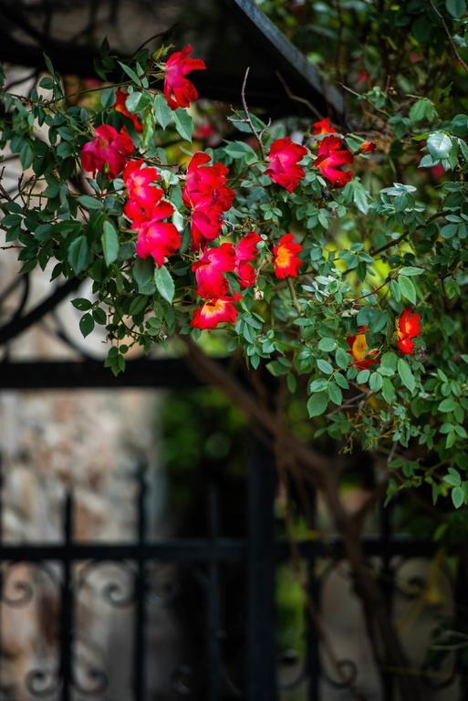 Вілла Mulberry House Sithonia Екстер'єр фото